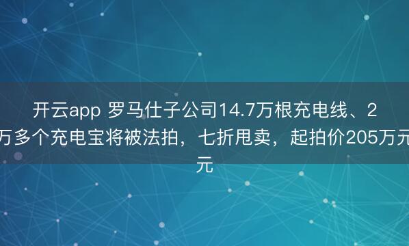 开云app 罗马仕子公司14.7万根充电线、2万多个充电宝将被法拍,七折甩卖,起拍价205万元